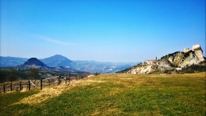 WP_20150319_032 (2)